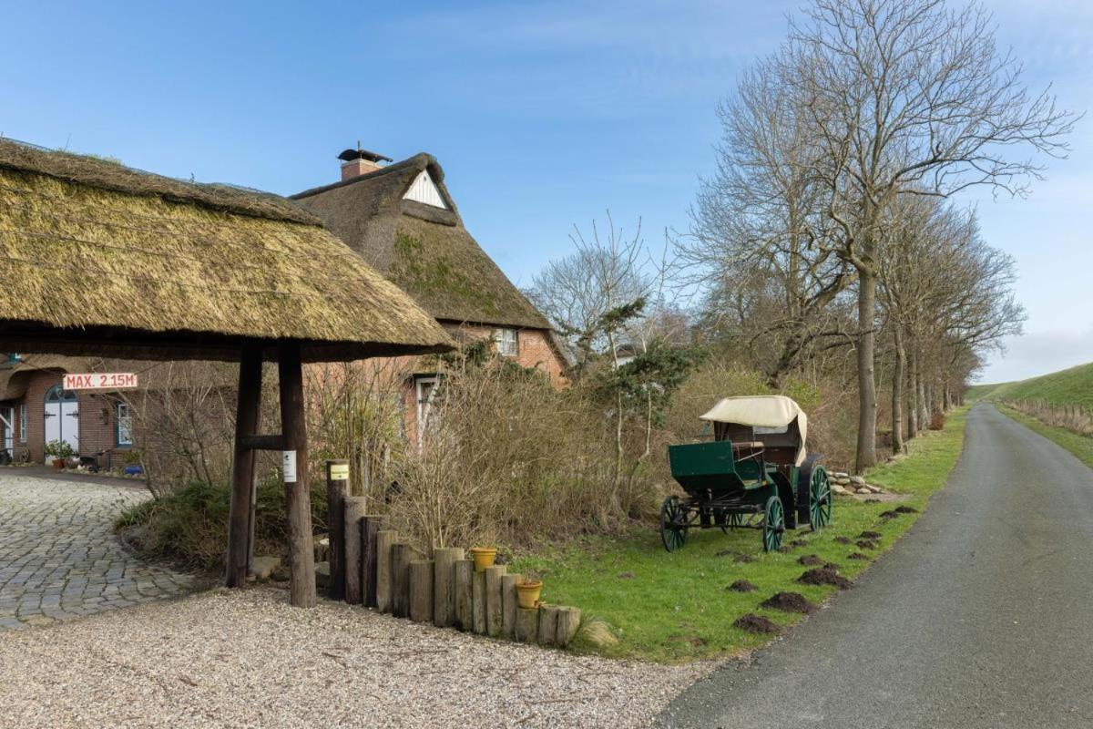 Deichmuschel Villa Wöhrden Kültér fotó